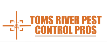 Toms River Pest Control Pros